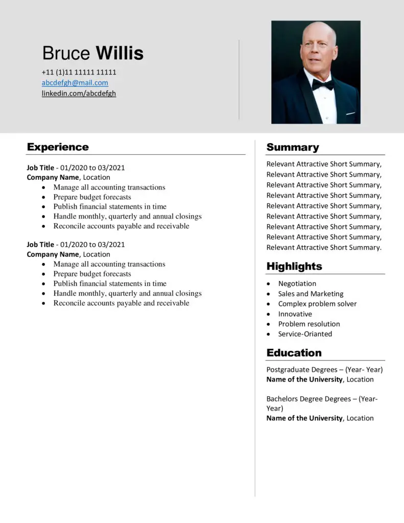 Bruce Willis New Free Modern Updated CV Templates Free Download Professional CV Templates