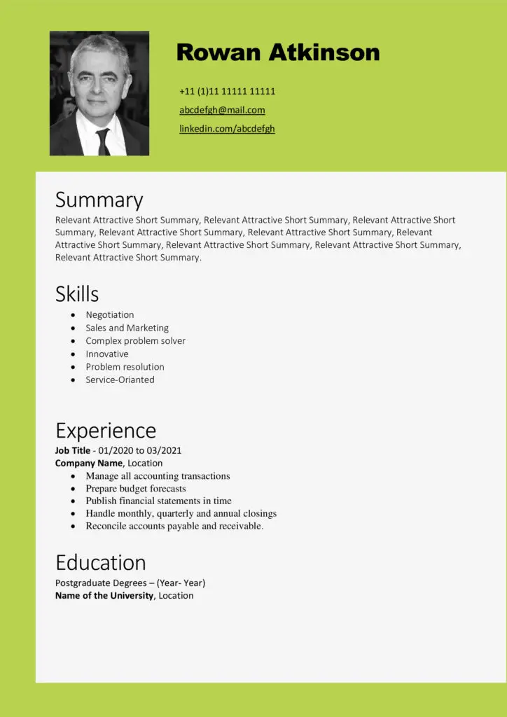 Rowan Atkinson New Free Modern Updated CV Templates Free Download Professional CV Templates