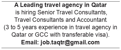 Multiple Jobs (Accountant / Travel Consultants)