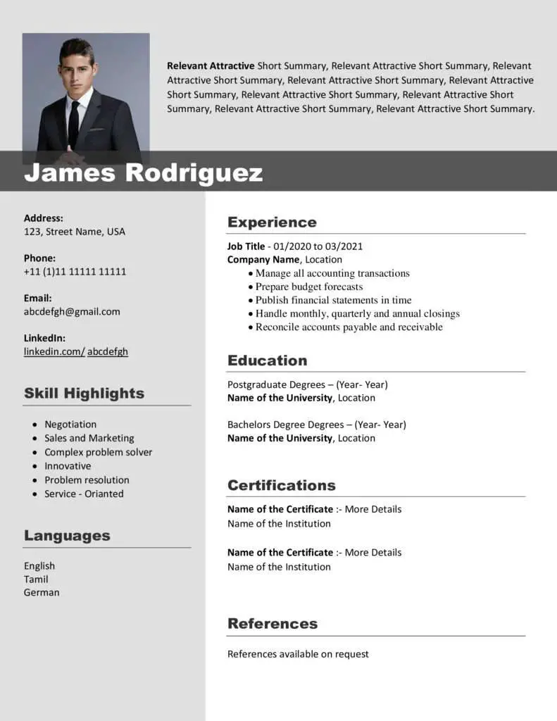 Free Download Professional CV Templates - Editable DOC - James ...