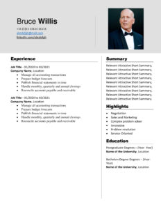 Free Download Professional CV Templates - Editable DOC - Bruce Willis