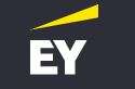 aey Manager, Digital Solutions and Strategy, Forensic and Integrity Services