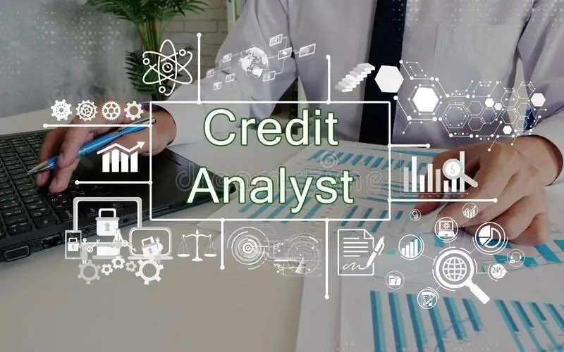 Credit Analyst Job Description