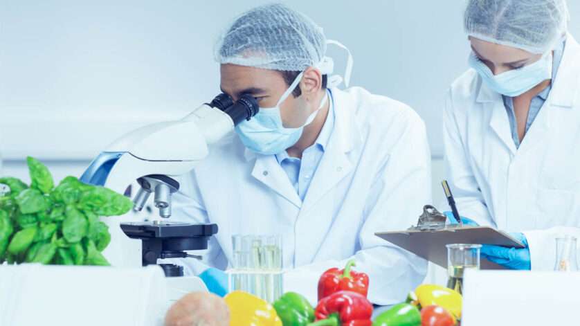 Food Technologist Job Description 2025 food-technologist-job-description-2025