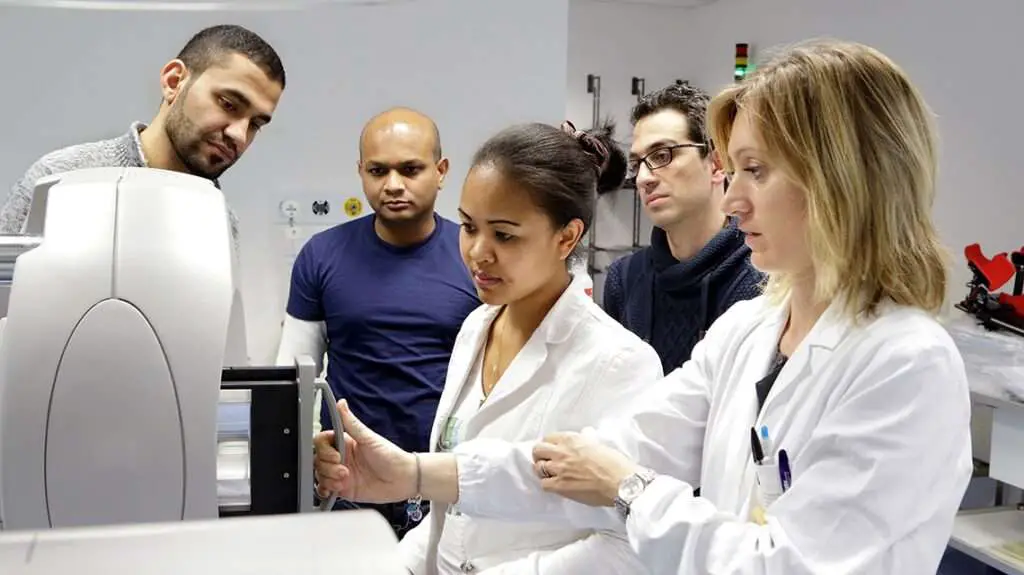 Medical Physicist Job Description 2023