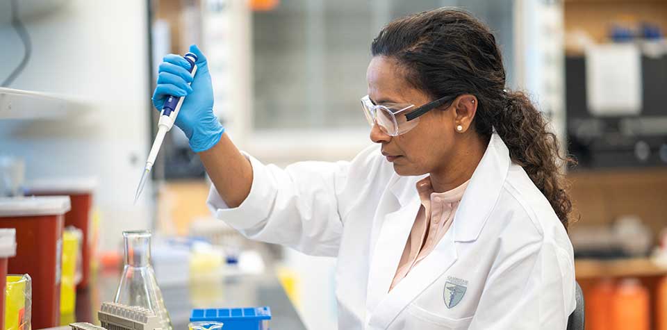 Medical Laboratory Technician Job Description