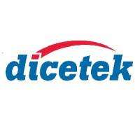 About Dicetek LLC