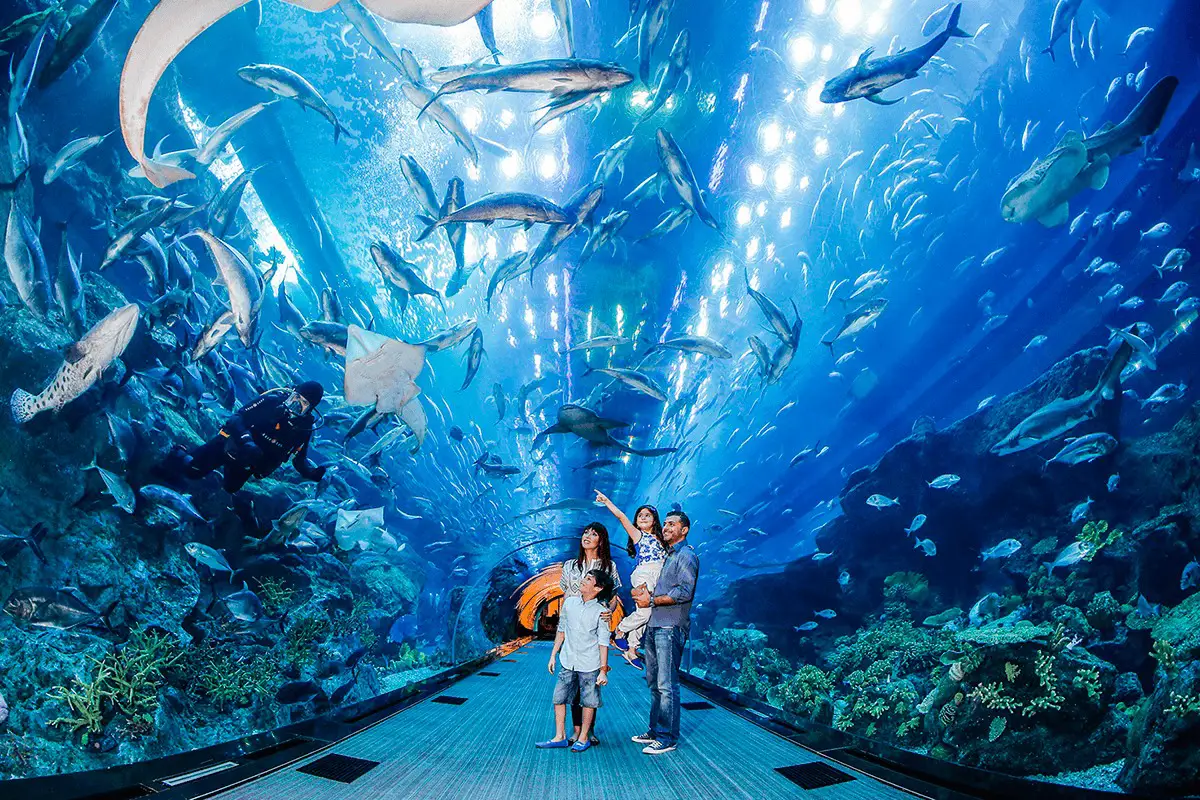 Dubai Aquarium and Underwater Zoo